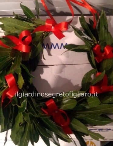 Coroncina per laurea