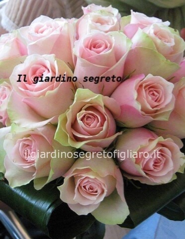 Bouquet di rose rosa e verde decorativo