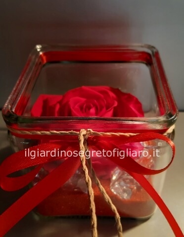 Cubo vetro 10x10 con rosa rossa stabilizzata xl