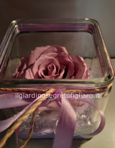 Cubo vetro 10x10 con rosa viola stabilizzata xl