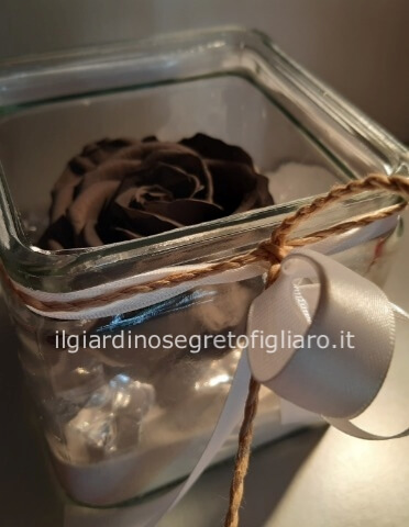 Cubo vetro 10x10 con rosa prugna scuro stabilizzata xl