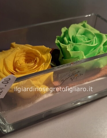 Vaschetta rettangolare in vetro coppia 2 rose stabilizzate