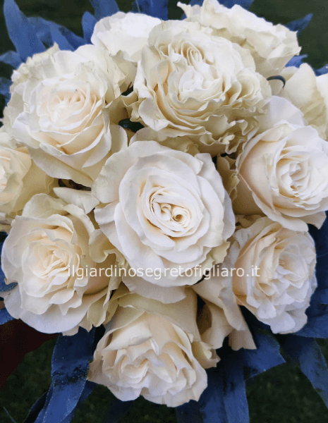 Splendido bouquet tondo compatto di rose bianche e verde decorativo