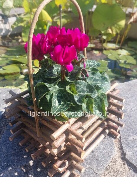 Elegante cesto fatto a mano con manico con ciclamino